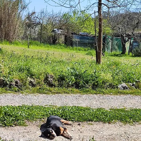 Kwatera prywatna Casa Stefano Siena